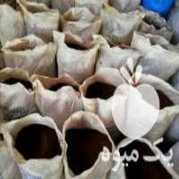 آگهی مشابه فروش مکمل خوراک دام در فاروج در گروه خوراک شیلات و آبزیان - ماهی گیلان خوزستان چابهار بوشهر در یکمیوه