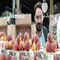 آگهی مشابه حق العمل کاری و بارفروشی عدالت میدان تره بار تهران تسویه روزانه در گروه حق العمل کاری محصولات کشاورزی و دامداری خدمات کارمزد در یکمیوه