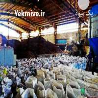 آگهی مشابه فروش مکمل خوراک دام در تهران در گروه خوراک شیلات و آبزیان - ماهی گیلان خوزستان چابهار بوشهر در یکمیوه