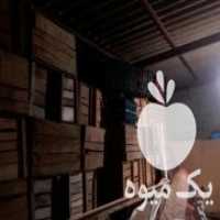 آگهی مشابه فروش جعبه چوبی صادراتی جعبه اناری برا پرتغال و  در تهران در گروه خرید فروش عمده انار - ساوه شیراز شیرین ترش در یکمیوه