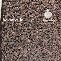 آگهی مشابه فروش کشمش درجه 1 در قزوین در گروه خرید فروش عمده چوب- زغال چوب گردو تبریزی خام در یکمیوه