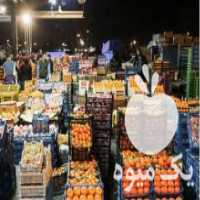 آگهی مشابه فروش حق العملکاری محصولات کشاورزی در میدان بزرگ تهران در گروه حق العمل کاری محصولات کشاورزی و دامداری خدمات کارمزد در یکمیوه