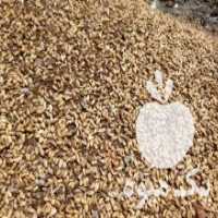 آگهی مشابه فروش کنجاله زیتون هسته انار دام طیور در زنجان در گروه خوراک دام و طیور - پرواری شیری علوفه یونجه در یکمیوه