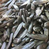 آگهی مشابه فروش مغز گردو تخمه افتابگردان کدو کشمش پسته دورسفید در تهران در گروه آجیل - فروش عمده محصولات در یکمیوه