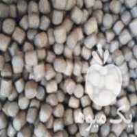 آگهی مشابه فروش خوراک ماهی قزل آلا در زنجان در گروه خوراک شیلات و آبزیان - ماهی گیلان خوزستان چابهار بوشهر در یکمیوه