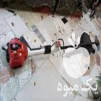 آگهی مشابه فروش علف تراش تاب سان حرفه ای در لار در گروه خرید فروش ماشین آلات کشاورزی - تراکتور تیلر کمباین مدرن در یکمیوه