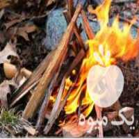 آگهی مشابه فروش ضایعات چوب و ام دی اف برای آتش در بابلسر در گروه خرید فروش عمده چوب- زغال چوب گردو تبریزی خام در یکمیوه