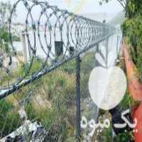 آگهی مشابه فروش ساخت و راه اندازی دستگاه فنس بافی توری بافی در تهران در گروه سرمایه گذار در تولید محصولات کشاورزی و دامداری در یکمیوه