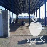 آگهی مشابه فروش نصب و اجرای پوشش سقف سوله در تهران در گروه سازنده - گلخانه باغ مدرن سالن صنعتی سوله انبار در یکمیوه