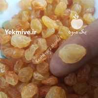 آگهی مشابه فروش کشمش بی دانه صادراتی در تهران در گروه آجیل - فروش عمده محصولات در یکمیوه