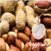 آگهی مشابه فروش آجیل پزی بادام زمینی آستانه در آستانه اشرفیه در گروه آجیل - فروش عمده محصولات در یکمیوه