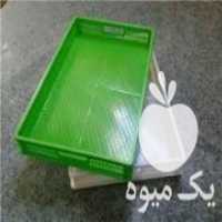 آگهی مشابه فروش سبد 20 کیلویی کشمش در تهران در گروه خرید فروش انواع سبد - میوه پلاستیکی چوبی گل در یکمیوه