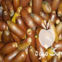 آگهی مشابه فروش بلوط مخصوص دام در ساری در گروه خرید فروش عمده انار - ساوه شیراز شیرین ترش در یکمیوه