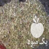 آگهی مشابه فروش خارشتر کاه در گیلان در گروه خوراک دام و طیور - پرواری شیری علوفه یونجه در یکمیوه