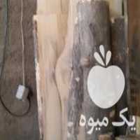آگهی مشابه خریدار انواع چوب درختان چنار گردو کاج    در تهران در گروه خرید فروش عمده چوب- زغال چوب گردو تبریزی خام در یکمیوه