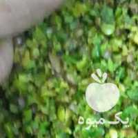 آگهی مشابه فروش مغز پسته کوهی بنه در تهران در گروه پسته - کوهی شامی خام اکبری تازه کله قوچی در یکمیوه