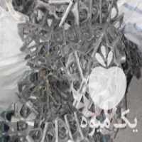 آگهی مشابه خریدار لوازم دست دو مرغداری در آمل در گروه تجهیزات دام و طیور - خرید فروش نو دسته دوم در یکمیوه