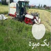 آگهی مشابه فروش کمباین 150 ساعت کارکرد در رشت در گروه خرید فروش ماشین آلات کشاورزی - تراکتور تیلر کمباین مدرن در یکمیوه