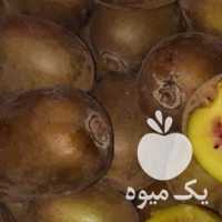 آگهی مشابه فروش کیوی خونی و طلایی در رودسر در گروه خرید فروش عمده کیوی - صادراتی مازندران تنکابن تالش در یکمیوه