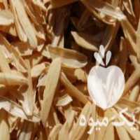 آگهی مشابه فروش سبوس شالی برای گلخانه در کیاکلا در گروه خرید فروش عمده توت فرنگی - خرید فروش عمده قرمز سفید در یکمیوه