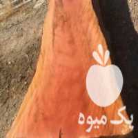 آگهی مشابه فروش و تامین انواع اسلب چوب و خدمات نجاری در تهران در گروه خرید فروش عمده چوب- زغال چوب گردو تبریزی خام در یکمیوه