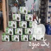 آگهی مشابه فروش چمن زن رکس در کوچصفهان در گروه خرید فروش ابزار ها و تجهیزات کشاورزی - دستی برقی ماشینی بیل کلنگ در یکمیوه