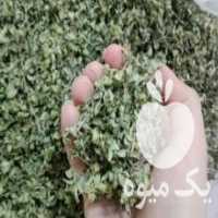 آگهی مشابه خرید و فروش گیاهان داروئی به صورت عمده در تهران در گروه خرید فروش عمده گیاهان دارویی - معطر خشک خواص دار در یکمیوه