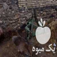 آگهی مشابه فروشی گاوآهن در دندی در گروه خرید فروش ماشین آلات کشاورزی - تراکتور تیلر کمباین مدرن در یکمیوه