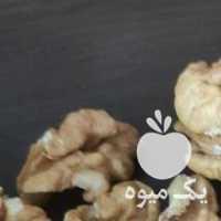 آگهی مشابه فروش گردو پوست کاغذی و بادام سنگی در تهران در گروه بادام - درختی کوهی زمینی فروش عمده در یکمیوه