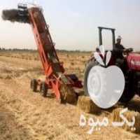 آگهی مشابه فروش گاوآهن تراکتور در همدان در گروه خرید فروش ابزار ها و تجهیزات کشاورزی - دستی برقی ماشینی بیل کلنگ در یکمیوه