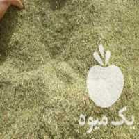 آگهی مشابه فروش کاه خار دانه دار در خواف در گروه خوراک دام و طیور - پرواری شیری علوفه یونجه در یکمیوه
