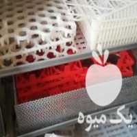 آگهی مشابه فروش دستگاه 24 تایی شترمرغی در مشهد در گروه انواع تخم ها - مرغ بوقلمون پرنده عمده کشاورزی در یکمیوه
