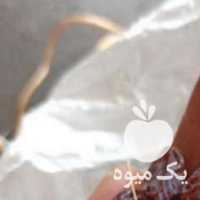 آگهی مشابه خرید و فروش عمده کشمش و‌مویز وخرما و شیره خرما در شیراز در گروه عسل شیره و فرآورده ی مربا - طبیعی گون کوهی آویشن در یکمیوه