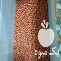 آگهی مشابه فروش بذر چغندر قند ایزابلا اصل در اردبیل در گروه خرید فروش بذر - انواع محصول کشاورزی گوجه کتان میوه درخت در یکمیوه