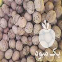 آگهی مشابه فروش گردو پوست کاغدی در دورود در گروه گردو - کاغذی سنگی سوزنی خوشه ای توسرکان در یکمیوه