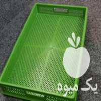 آگهی مشابه فروش سبد نسوز و تولید سبد میوه خشک کن و سبد ماکارونی در تاکستان در گروه خرید فروش انواع سبد - میوه پلاستیکی چوبی گل در یکمیوه