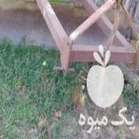 آگهی مشابه فروش تراکتور فرگوسن مدل 81 صومعه سرا در گیلان در گروه خرید فروش ماشین آلات کشاورزی - تراکتور تیلر کمباین مدرن در یکمیوه