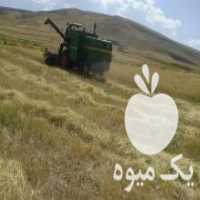 آگهی مشابه فروش کمباین جاندیر ممتاژ المان در تبریز در گروه خرید فروش ماشین آلات کشاورزی - تراکتور تیلر کمباین مدرن در یکمیوه