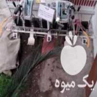آگهی مشابه فروش دستگاه نشا مدل یانمار در خرو در گروه خرید فروش ابزار ها و تجهیزات کشاورزی - دستی برقی ماشینی بیل کلنگ در یکمیوه