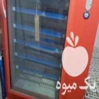 آگهی مشابه فروش دستگاه جوجه کشی در تهران در گروه تجهیزات دام و طیور - خرید فروش نو دسته دوم در یکمیوه