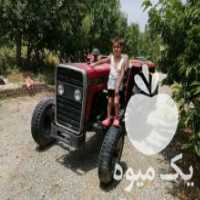 آگهی مشابه فروش تراکتور 240 تک در ارومیه در گروه خرید فروش ماشین آلات کشاورزی - تراکتور تیلر کمباین مدرن در یکمیوه