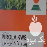 آگهی مشابه فروش بذر چغندر قند در سبزوار در گروه خرید فروش بذر - انواع محصول کشاورزی گوجه کتان میوه درخت در یکمیوه