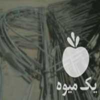 آگهی مشابه فروش فوری اسکلت گلخانه پیچ مهر دست دوم گلخانه در سراوان در گروه خرید فروش عمده انواع گل - پروش قاشقی موسی ساکولنت بن سای در یکمیوه