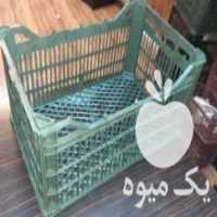 آگهی مشابه فروش سبد مرکبات از 8 تا 1 8 کیلویی در نکا در گروه خرید فروش انواع سبد - میوه پلاستیکی چوبی گل در یکمیوه