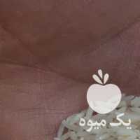 آگهی مشابه فروش چای برنج خشکبار خوراک دام عرشیا در رشت در گروه خرید فروش عمده برنج - نیم دانه عنبر بو هاشمی کاظمی هندی پاکستانی در یکمیوه
