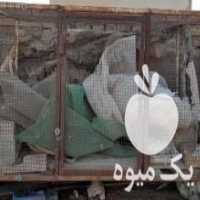 آگهی مشابه فروش قفس آهنی بزرگ در اهواز در گروه تجهیزات دام و طیور - خرید فروش نو دسته دوم در یکمیوه