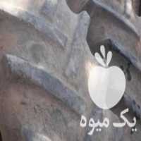 آگهی مشابه فروش لاستیک فرگوسن 30 در ساری در گروه خرید فروش ماشین آلات کشاورزی - تراکتور تیلر کمباین مدرن در یکمیوه