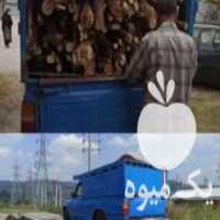 آگهی مشابه فروش خاک کمپوست در ساری در گروه خرید فروش نشا - انواع گوجه برنج کاهو پیاز کاری فرنگی در یکمیوه