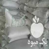 آگهی مشابه فروش بذر گندم ،  جو و کلزا در مشهد در گروه خرید فروش بذر - انواع محصول کشاورزی گوجه کتان میوه درخت در یکمیوه