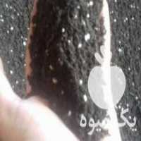 آگهی مشابه فروش خاک گلدان آماده در لنگرود در گروه خرید فروش کود و مواد شیمیایی - اوره پتاس مرغی کمپوست آهن در یکمیوه